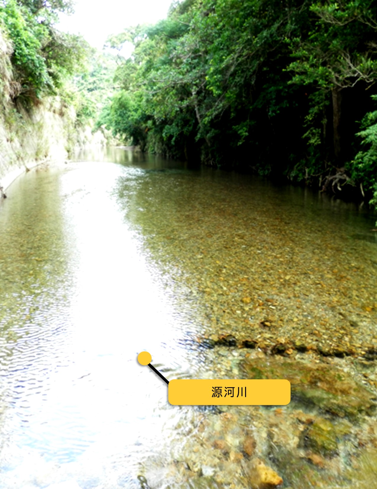 源河川