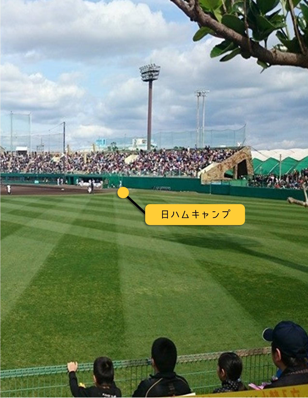 日ハムキャンプ